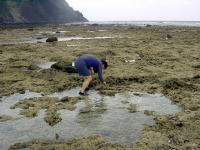 �������