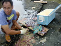 �V������