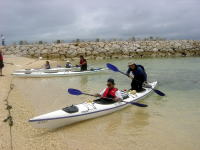 �v��������