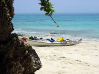 �z�G�[���E�H�b�`���[