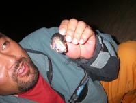 �悵���Ƃ�������