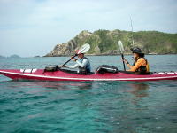 ���C���{�[